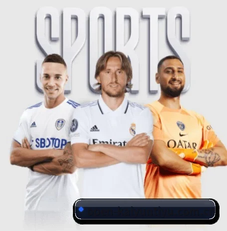 五大服务分区,信息按项目分类（kaiyun）